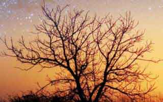 比特币今日新闻行情最新