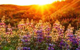 比特币今日新闻行情最新