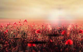 fil币价格今日行情美元_fil币价格今日行情走势